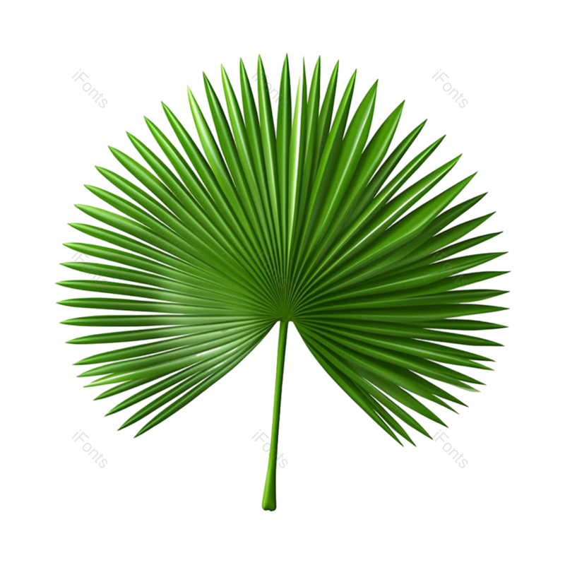 叶子图片,清新元素,树木PNG,自然免抠素材
